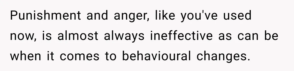 Punishment and anger, like you've used now, is almost always ineffective as can be when it comes to behavioural changes.