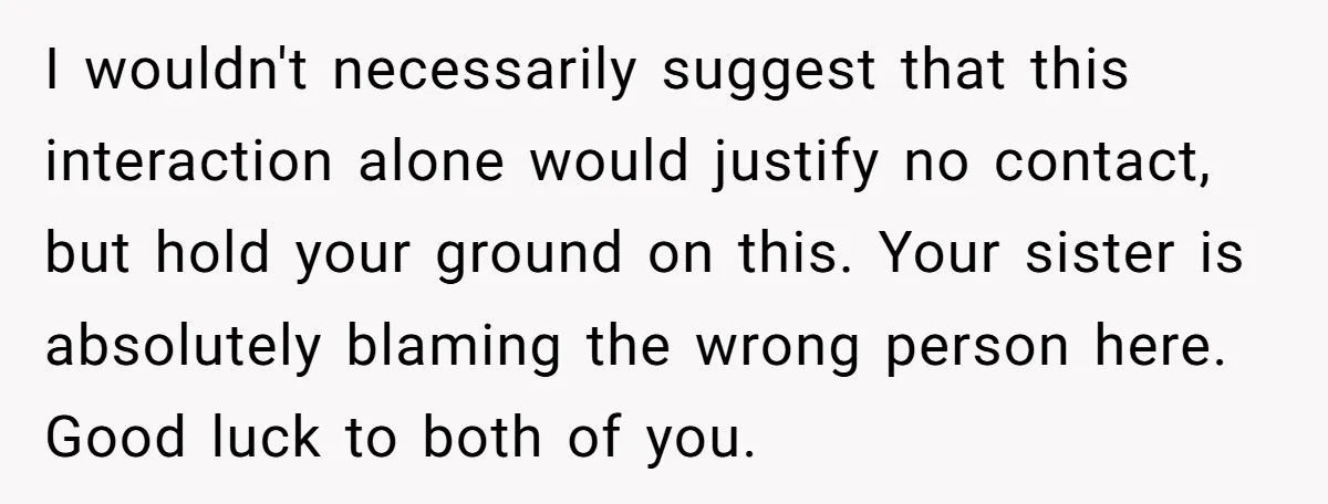 I wouldn't necessarily suggest that this interaction alone would justify no contact, but hold your ground on this. Your sister is absolutely blaming the wrong person here. Good luck to...