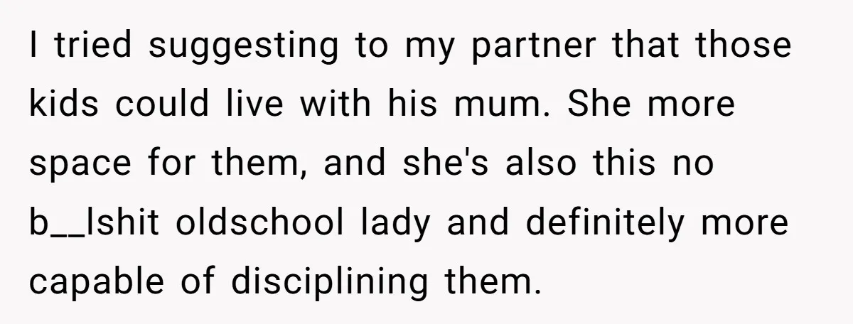 I tried suggesting to my partner that those kids could live with his mum. She more space for them, and she's also this no b__lshit oldschool lady and definitely more...