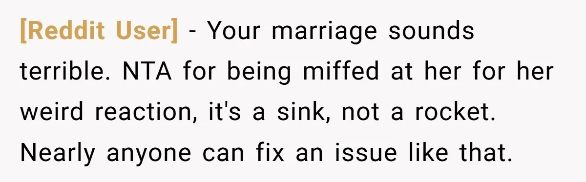 [Reddit User] − Your marriage sounds terrible. NTA for being miffed at her for her weird reaction, it's a sink, not a rocket. Nearly anyone can fix an issue like...
