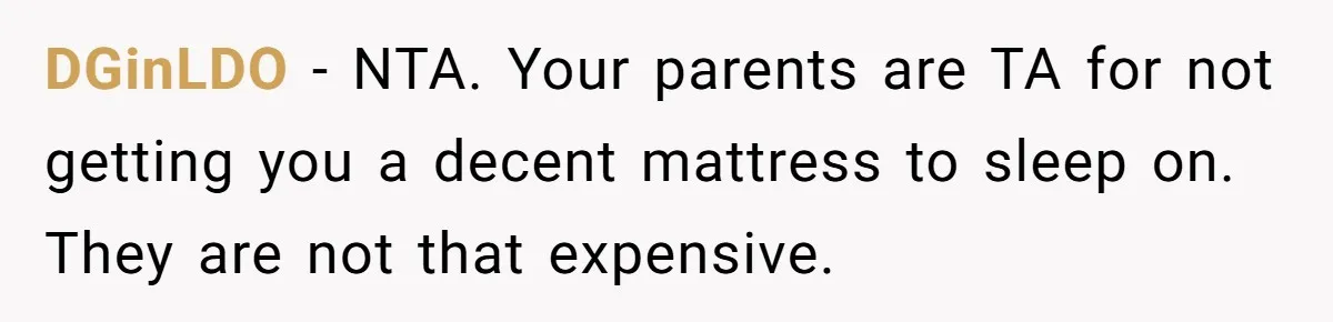 DGinLDO − NTA. Your parents are TA for not getting you a decent mattress to sleep on. They are not that expensive.
