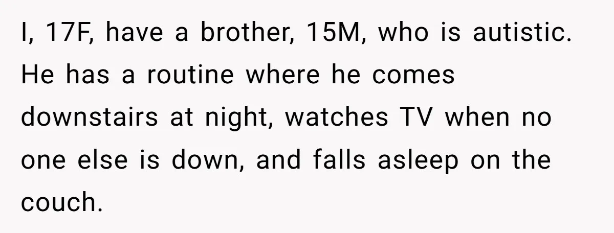 I, 17F, have a brother, 15M, who is autistic. He has a routine where he comes downstairs at night, watches TV when no one else is down, and falls asleep...