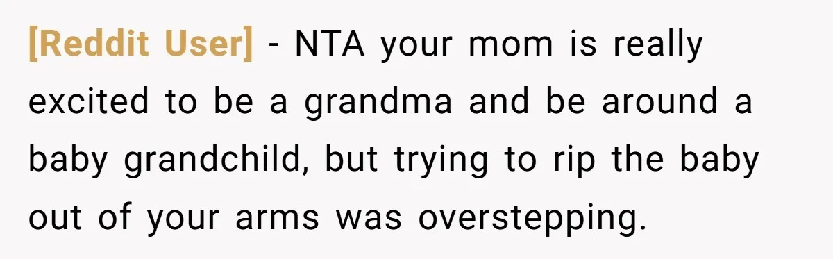 [Reddit User] − NTA your mom is really excited to be a grandma and be around a baby grandchild, but trying to rip the baby out of your arms was...