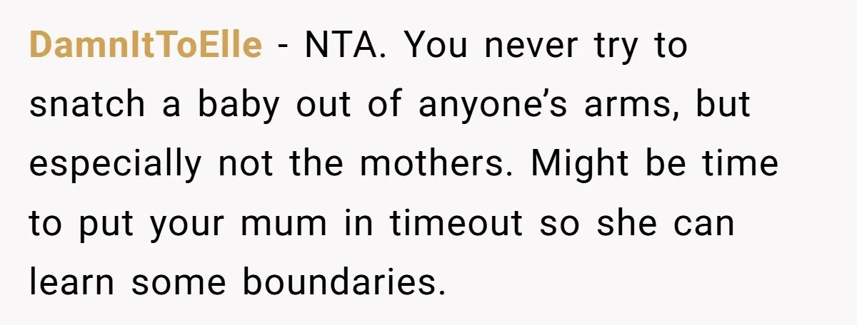 DamnItToElle − NTA. You never try to snatch a baby out of anyone’s arms, but especially not the mothers. Might be time to put your mum in timeout so she...
