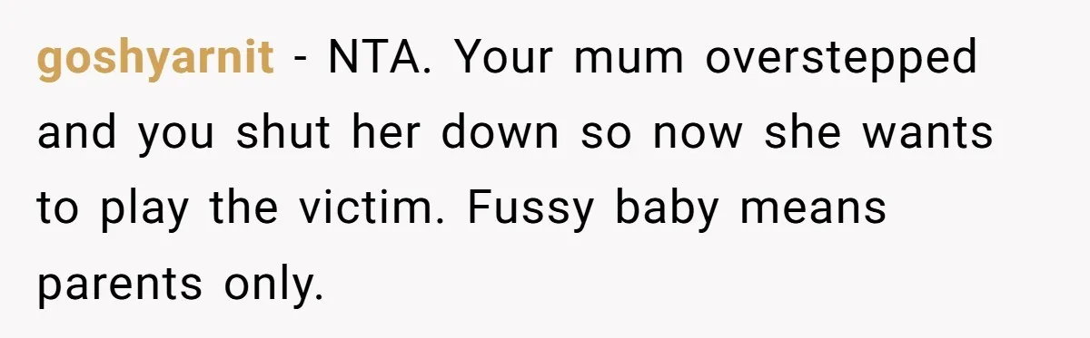 goshyarnit − NTA. Your mum overstepped and you shut her down so now she wants to play the victim. Fussy baby means parents only.