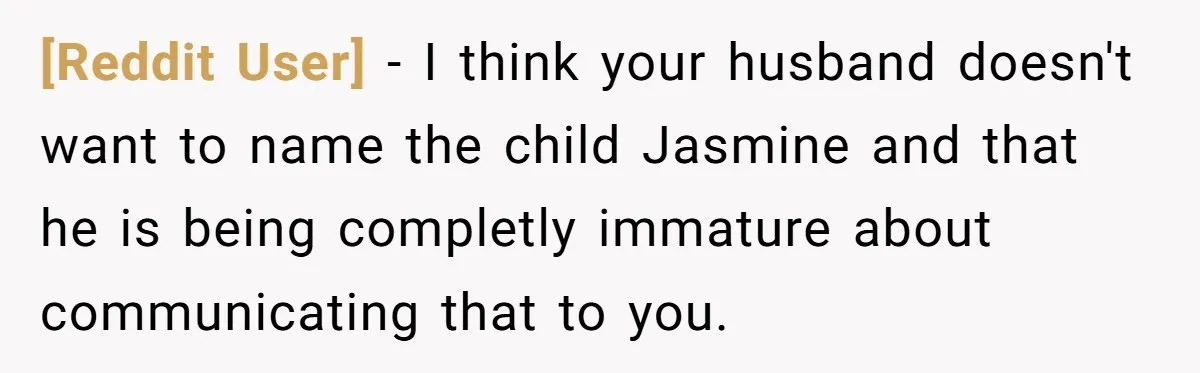 [Reddit User] - I think your husband doesn't want to name the child Jasmine and that he is being completly immature about communicating that to you.