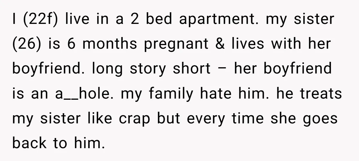I (22f) live in a 2 bed apartment. my sister (26) is 6 months pregnant & lives with her boyfriend. long story short – her boyfriend is an a__hole. my...
