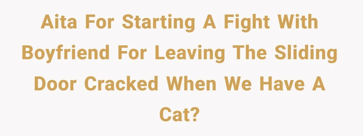 AITA for starting a fight with boyfriend for leaving the sliding door cracked when we have a cat?