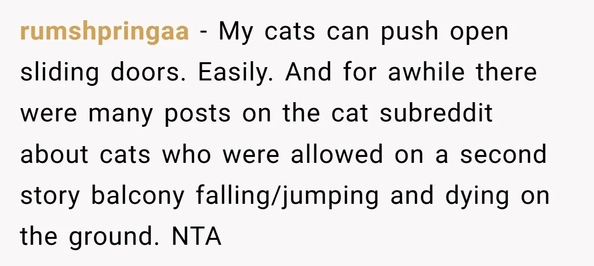 rumshpringaa − My cats can push open sliding doors. Easily. And for awhile there were many posts on the cat subreddit about cats who were allowed on a second story...