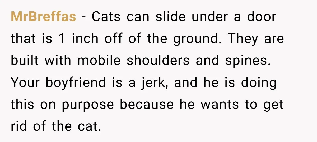 MrBreffas − Cats can slide under a door that is 1 inch off of the ground. They are built with mobile shoulders and spines. Your boyfriend is a jerk, and...