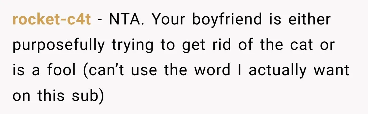 rocket-c4t − NTA. Your boyfriend is either purposefully trying to get rid of the cat or is a fool (can’t use the word I actually want on this sub)