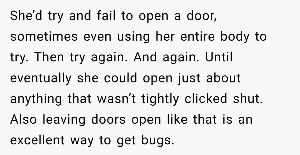 She’d try and fail to open a door, sometimes even using her entire body to try. Then try again. And again. Until eventually she could open just about anything that...