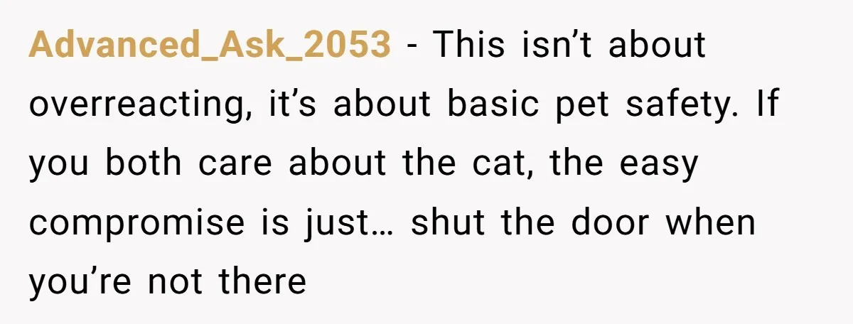 Advanced_Ask_2053 − This isn’t about overreacting, it’s about basic pet safety. If you both care about the cat, the easy compromise is just… shut the door when you’re not there
