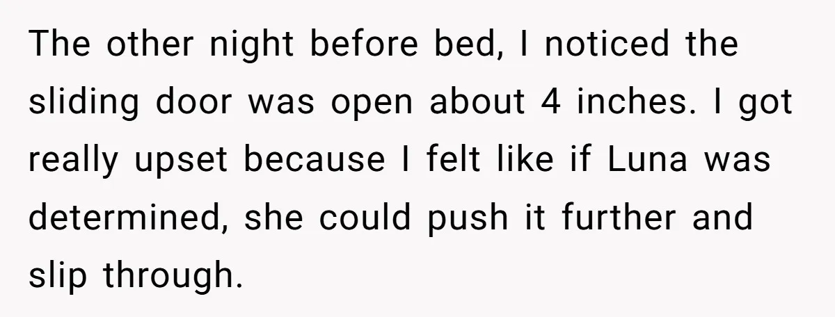The other night before bed, I noticed the sliding door was open about 4 inches. I got really upset because I felt like if Luna was determined, she could push...