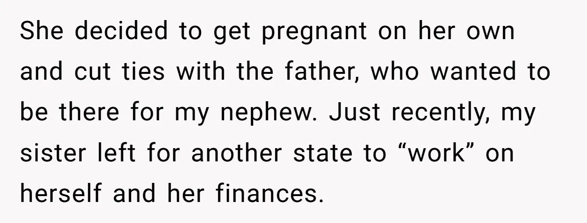 She decided to get pregnant on her own and cut ties with the father, who wanted to be there for my nephew. Just recently, my sister left for another state...