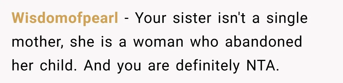 Wisdomofpearl − Your sister isn't a single mother, she is a woman who abandoned her child. And you are definitely NTA.