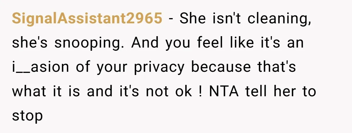 SignalAssistant2965 − She isn't cleaning, she's snooping. And you feel like it's an i__asion of your privacy because that's what it is and it's not ok ! NTA tell her...