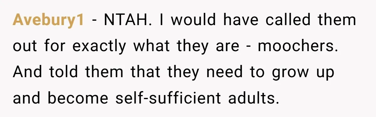 Avebury1 − NTAH. I would have called them out for exactly what they are - moochers. And told them that they need to grow up and become self-sufficient adults.