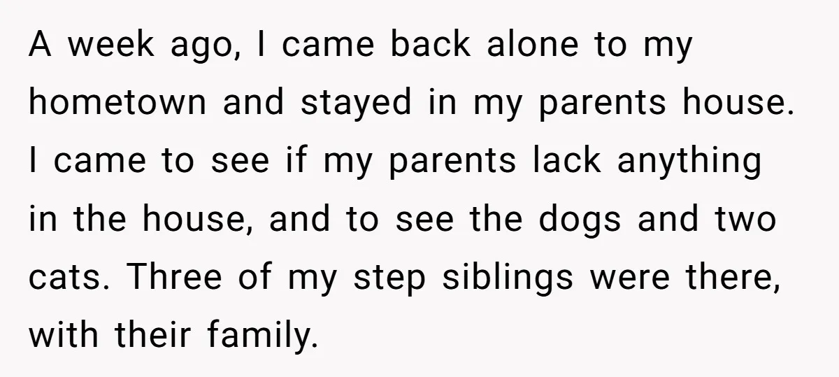 A week ago, I came back alone to my hometown and stayed in my parents house. I came to see if my parents lack anything in the house, and to...