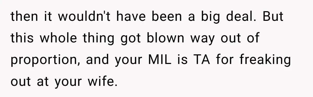 then it wouldn't have been a big deal. But this whole thing got blown way out of proportion, and your MIL is TA for freaking out at your wife.