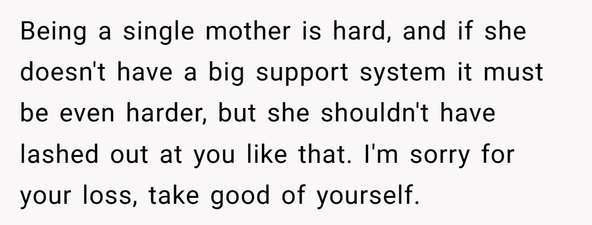 Being a single mother is hard, and if she doesn't have a big support system it must be even harder, but she shouldn't have lashed out at you like that....