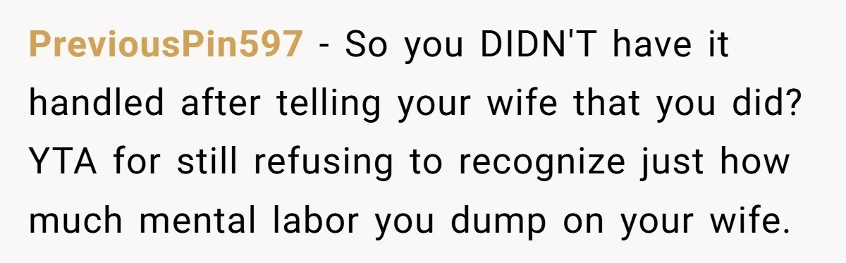 PreviousPin597 − So you DIDN'T have it handled after telling your wife that you did? YTA for still refusing to recognize just how much mental labor you dump on your...