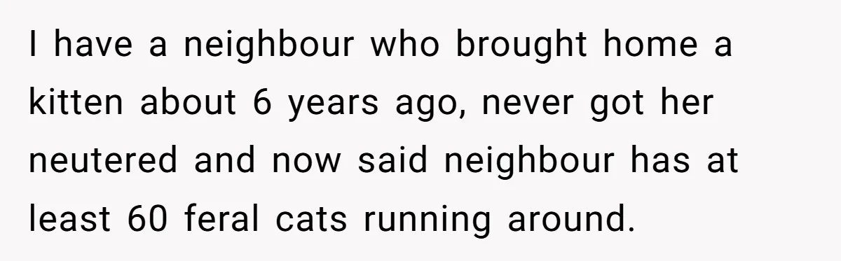 I have a neighbour who brought home a kitten about 6 years ago, never got her neutered and now said neighbour has at least 60 feral cats running around.