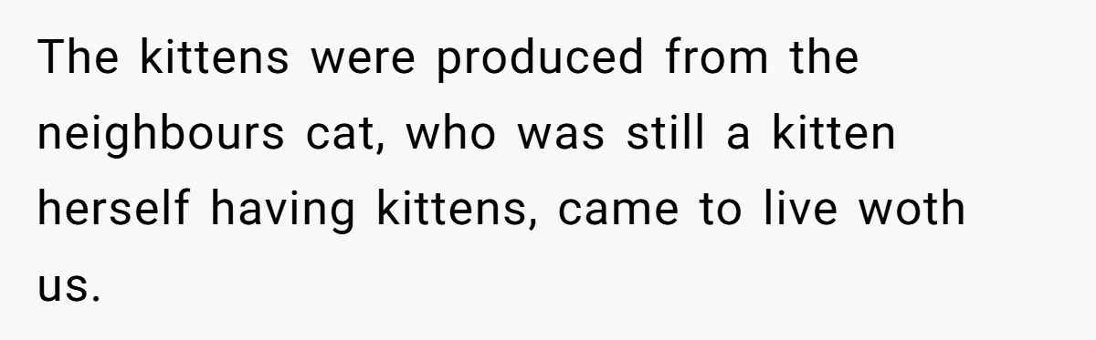 The kittens were produced from the neighbours cat, who was still a kitten herself having kittens, came to live woth us.