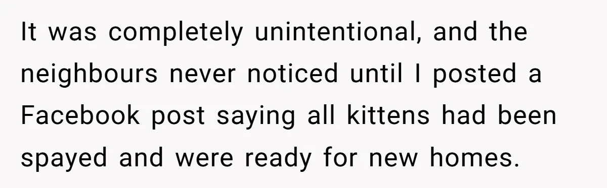 It was completely unintentional, and the neighbours never noticed until I posted a Facebook post saying all kittens had been spayed and were ready for new homes.