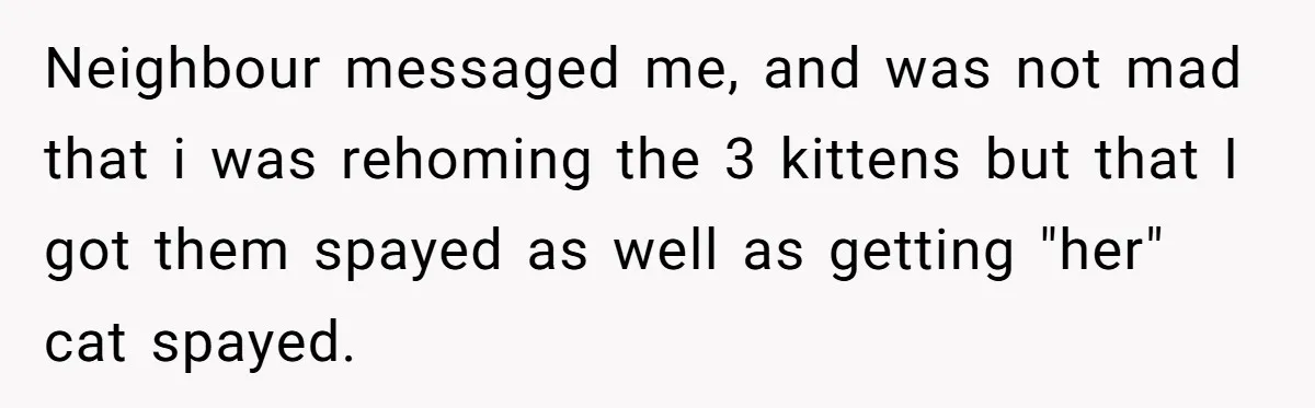 Neighbour messaged me, and was not mad that i was rehoming the 3 kittens but that I got them spayed as well as getting "her" cat spayed.
