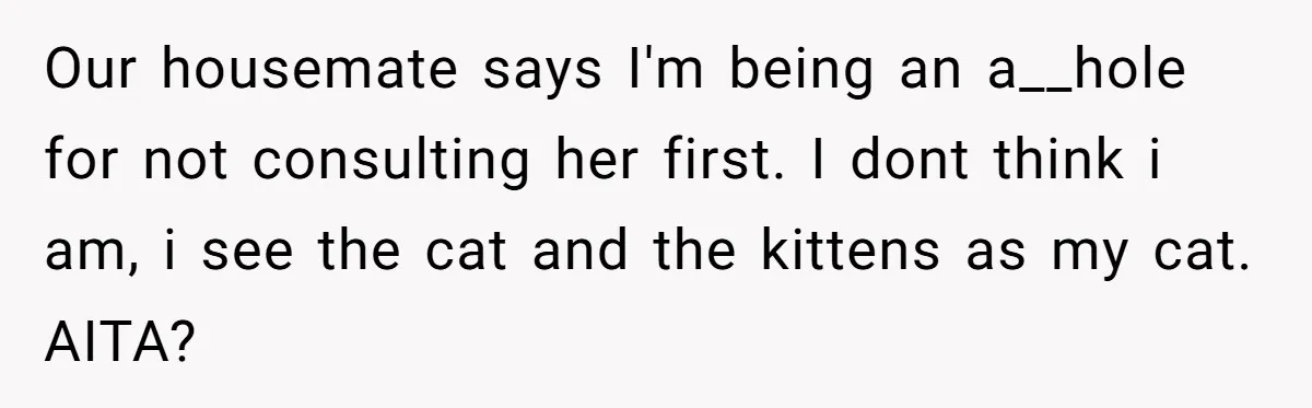 Our housemate says I'm being an a__hole for not consulting her first. I dont think i am, i see the cat and the kittens as my cat. AITA?