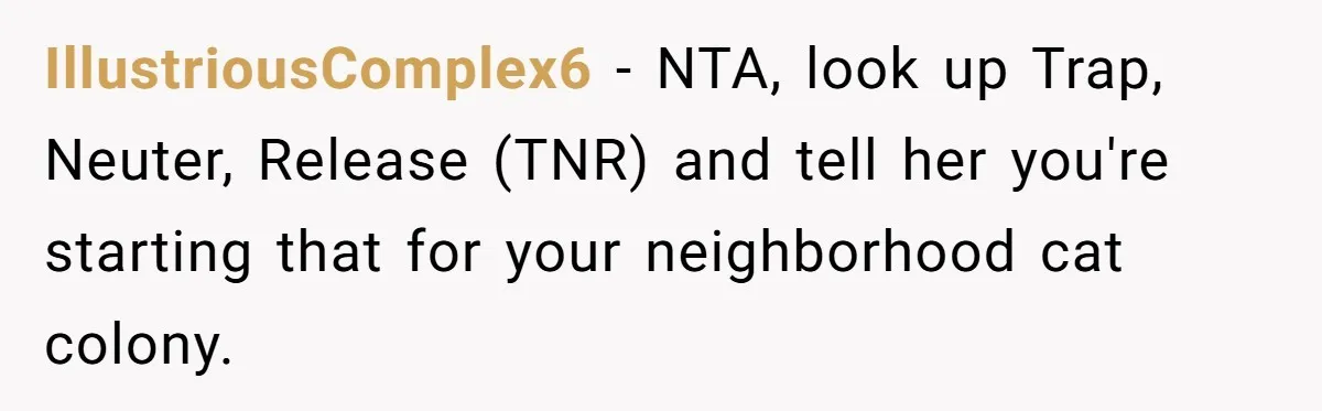 IllustriousComplex6 − NTA, look up Trap, Neuter, Release (TNR) and tell her you're starting that for your neighborhood cat colony.