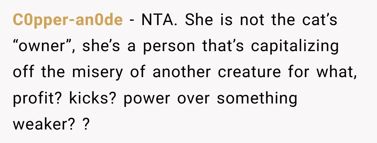 C0pper-an0de − NTA. She is not the cat’s “owner”, she’s a person that’s capitalizing off the misery of another creature for what, profit? kicks? power over something weaker? ?