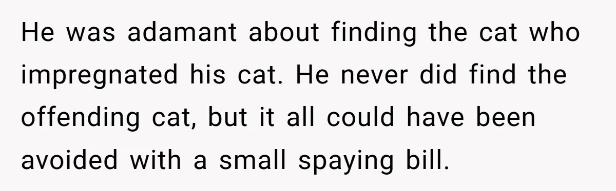 He was adamant about finding the cat who impregnated his cat. He never did find the offending cat, but it all could have been avoided with a small spaying bill.