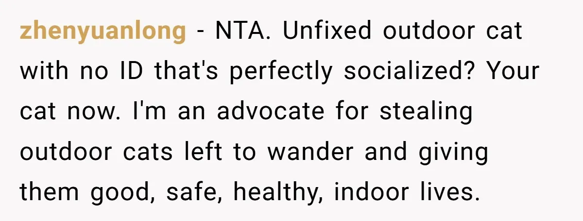 zhenyuanlong − NTA. Unfixed outdoor cat with no ID that's perfectly socialized? Your cat now. I'm an advocate for stealing outdoor cats left to wander and giving them good, safe,...