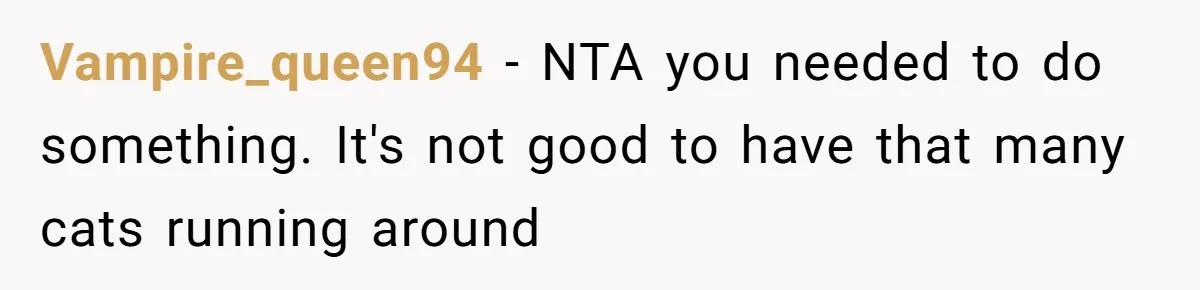 Vampire_queen94 − NTA you needed to do something. It's not good to have that many cats running around