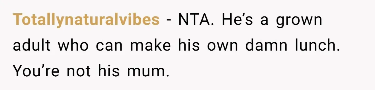 Totallynaturalvibes − NTA. He’s a grown adult who can make his own damn lunch. You’re not his mum.