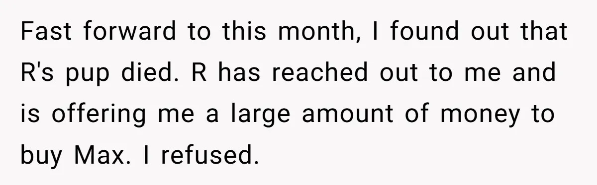 Fast forward to this month, I found out that R's pup died. R has reached out to me and is offering me a large amount of money to buy Max....