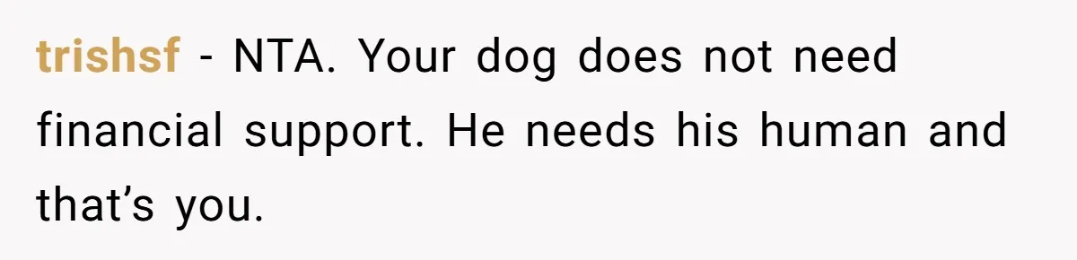 trishsf − NTA. Your dog does not need financial support. He needs his human and that’s you.