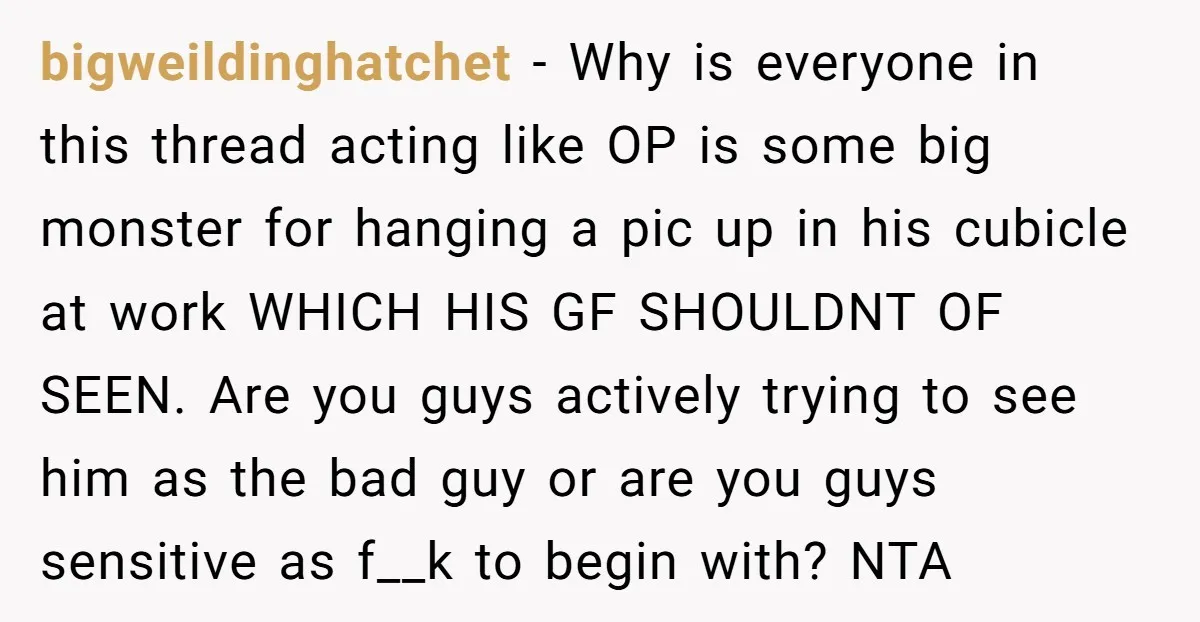 bigweildinghatchet - Why is everyone in this thread acting like OP is some big monster for hanging a pic up in his cubicle at work WHICH HIS GF SHOULDNT OF...