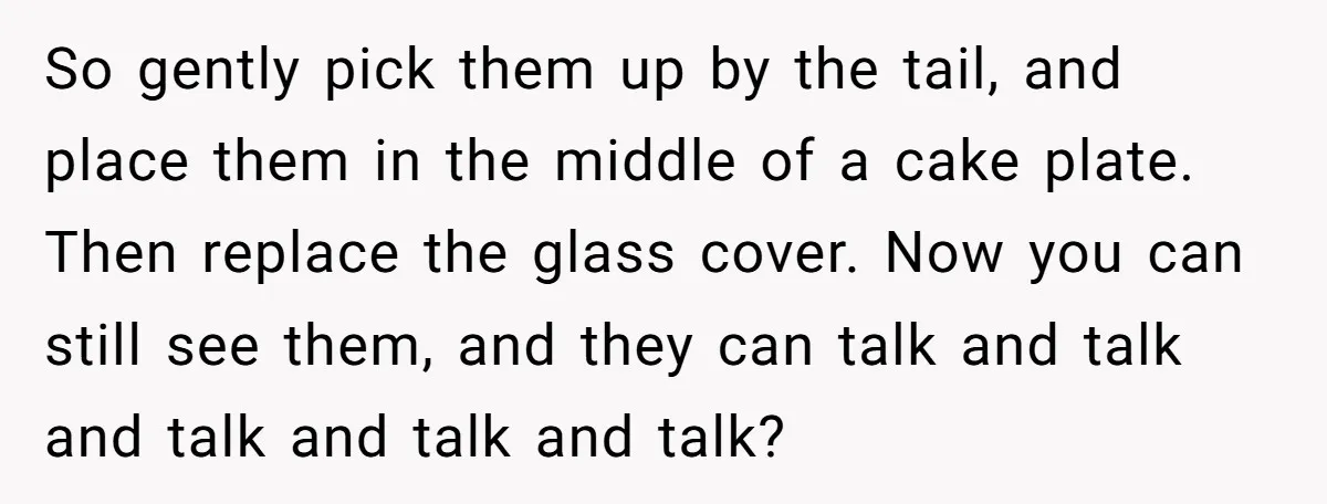 So gently pick them up by the tail, and place them in the middle of a cake plate. Then replace the glass cover. Now you can still see them, and...