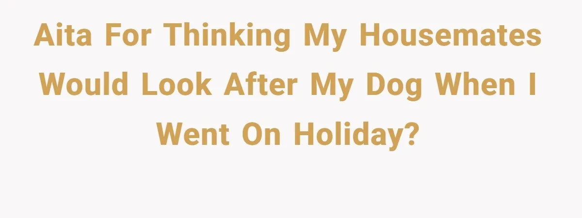 AITA for thinking my housemates would look after my dog when I went on holiday?