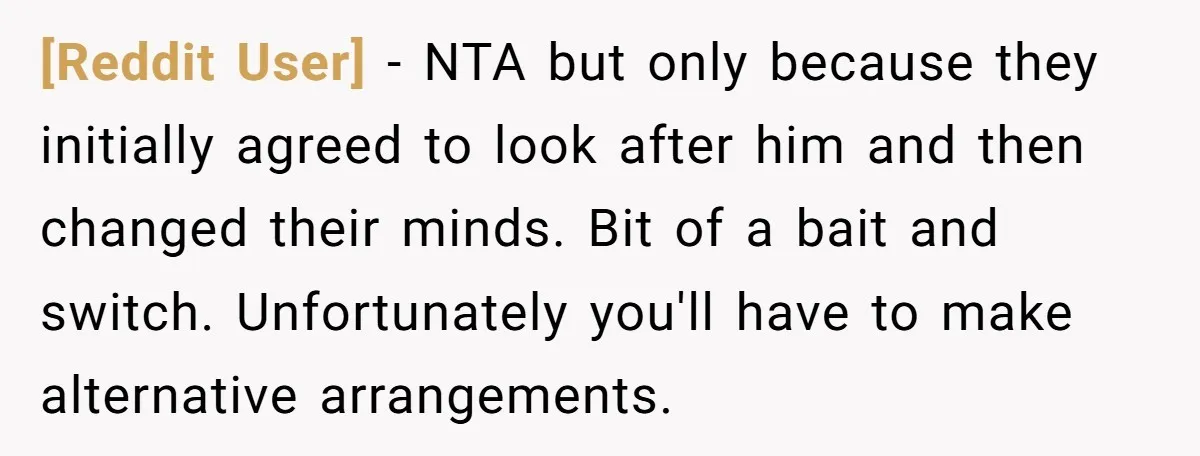 [Reddit User] − NTA but only because they initially agreed to look after him and then changed their minds. Bit of a bait and switch. Unfortunately you'll have to make...