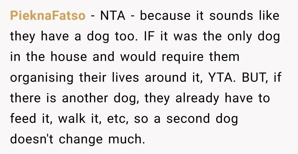PieknaFatso − NTA - because it sounds like they have a dog too. IF it was the only dog in the house and would require them organising their lives around...