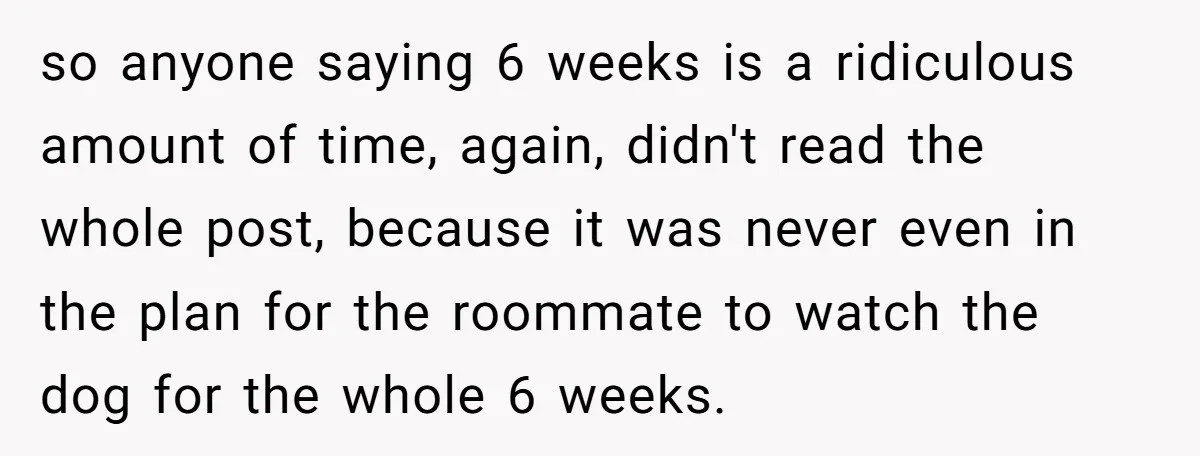 so anyone saying 6 weeks is a ridiculous amount of time, again, didn't read the whole post, because it was never even in the plan for the roommate to watch...