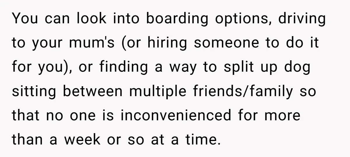 You can look into boarding options, driving to your mum's (or hiring someone to do it for you), or finding a way to split up dog sitting between multiple friends/family...
