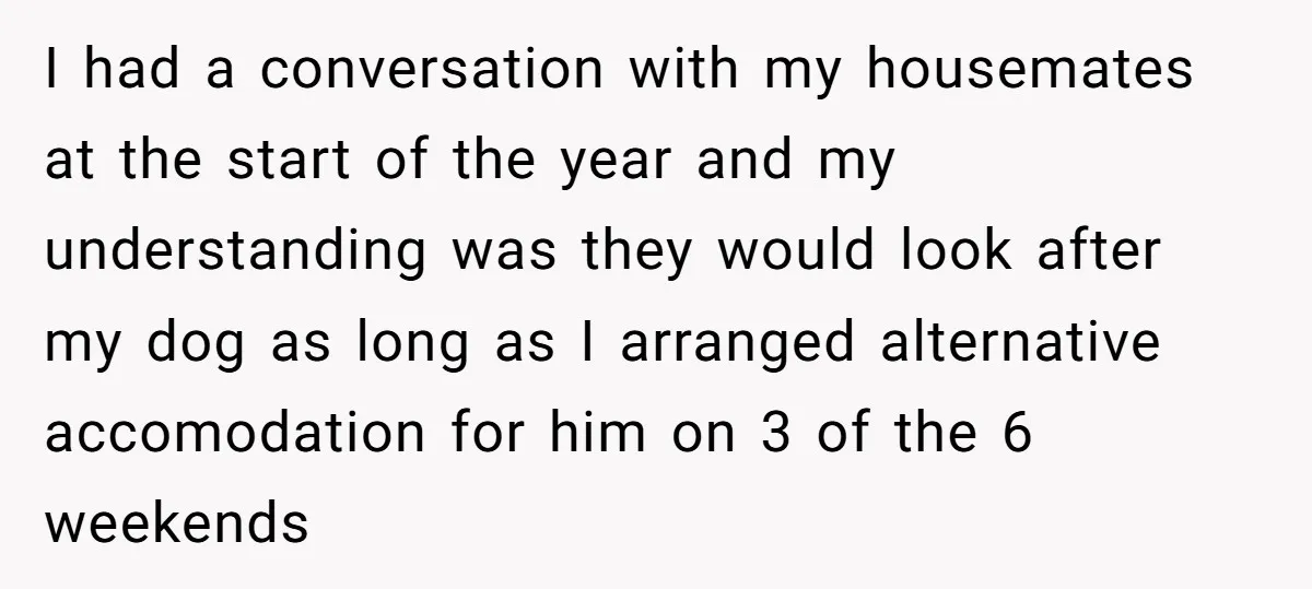 I had a conversation with my housemates at the start of the year and my understanding was they would look after my dog as long as I arranged alternative accomodation...