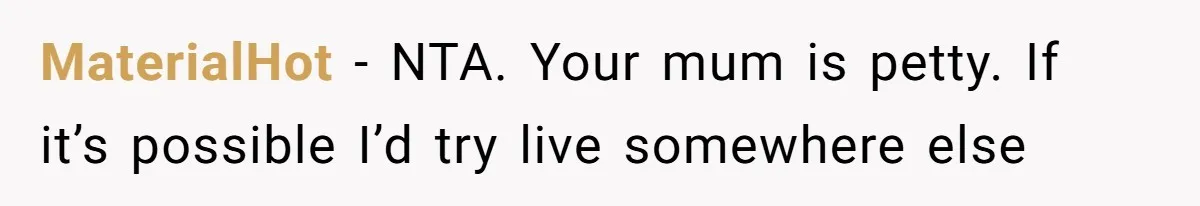 MaterialHot − NTA. Your mum is petty. If it’s possible I’d try live somewhere else
