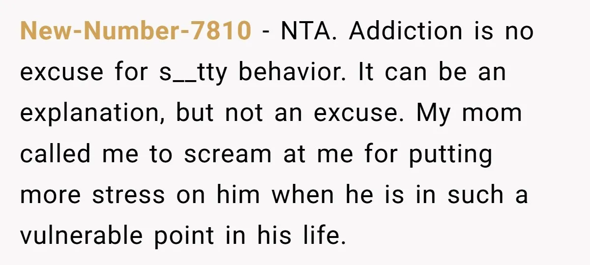 New-Number-7810 − NTA. Addiction is no excuse for s__tty behavior. It can be an explanation, but not an excuse. My mom called me to scream at me for putting more...