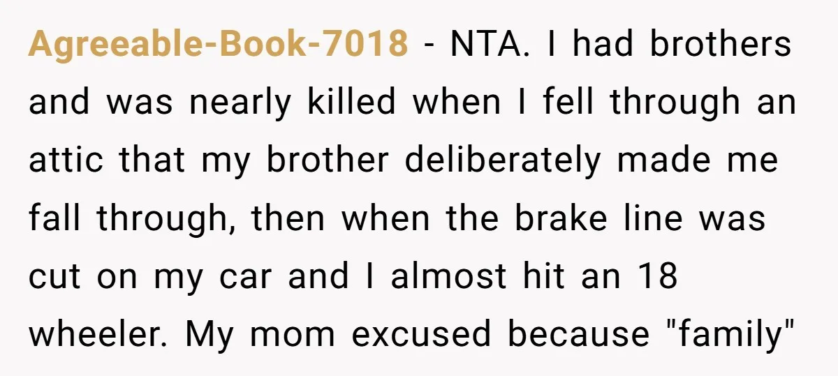 Agreeable-Book-7018 − NTA. I had brothers and was nearly killed when I fell through an attic that my brother deliberately made me fall through, then when the brake line was...